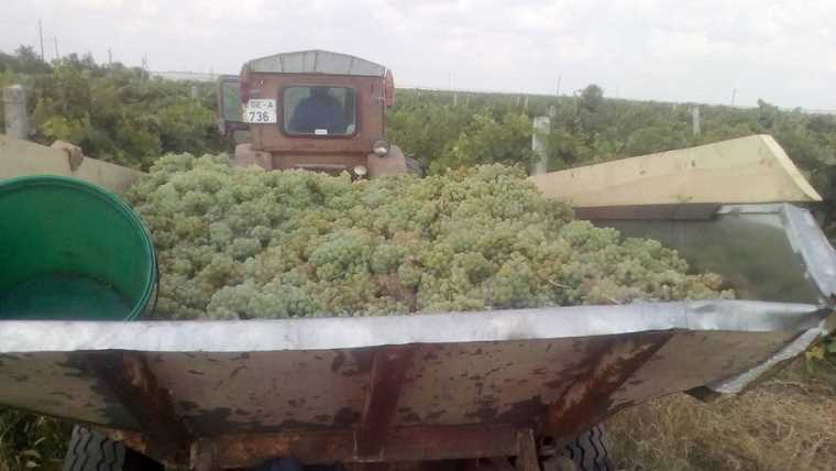 Кара-гань8-2