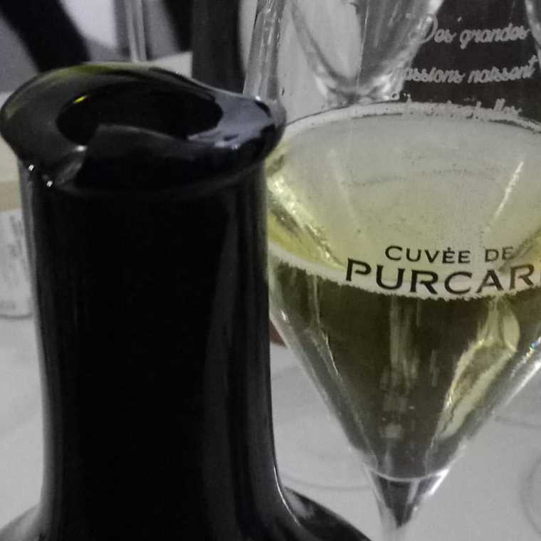 горлышко-Руденко-1