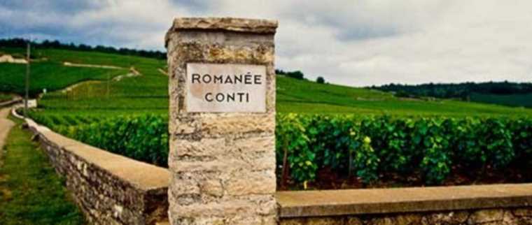 Domaine-de-la-Romane-Conti-1