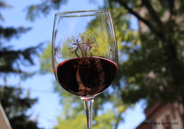 Вино для восстановления — Detox Wine sauvignon, 2017 — Wine