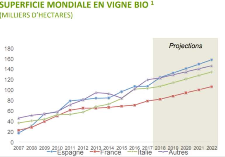 production_de_vin_bio_monde-1