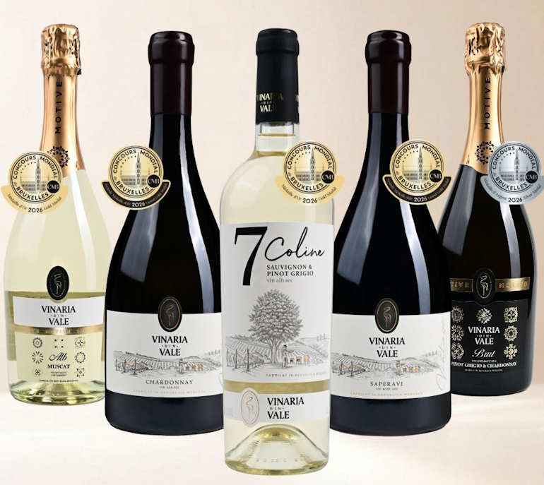 VdVwines