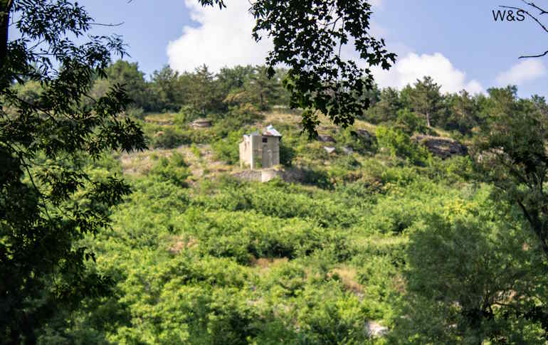 IMG 0612